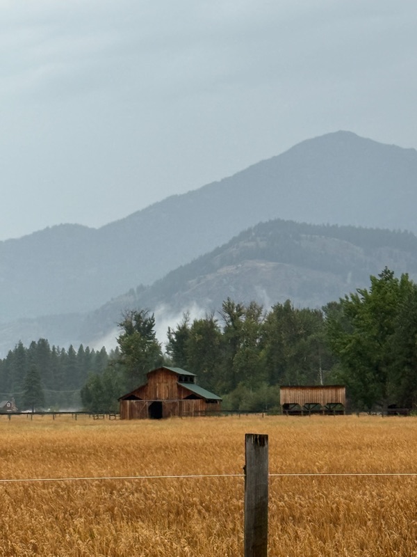 Historic red barn and hay shed in a golden field with misty mountains behind