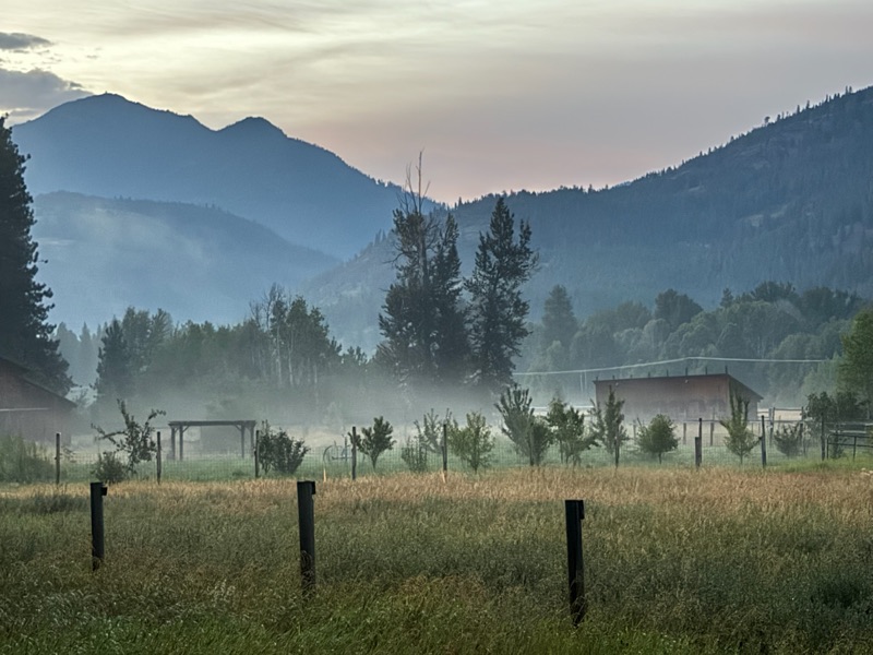 Morning fog drifting across the fields and tree line