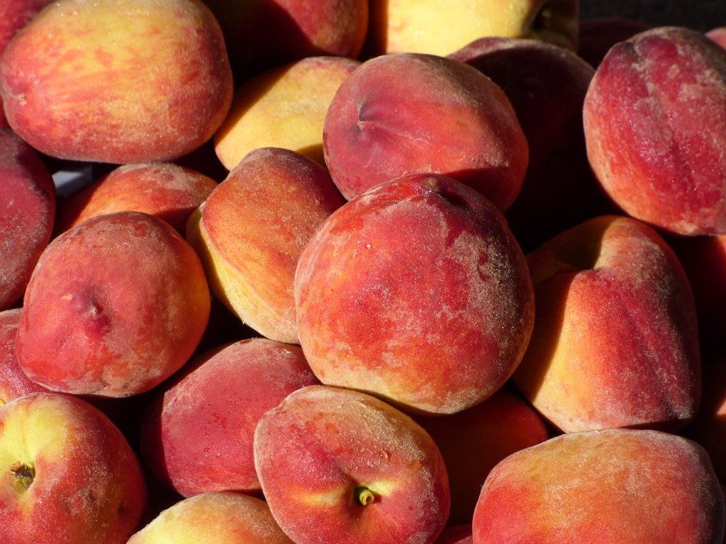 A pile of ripe, freshly harvested peaches