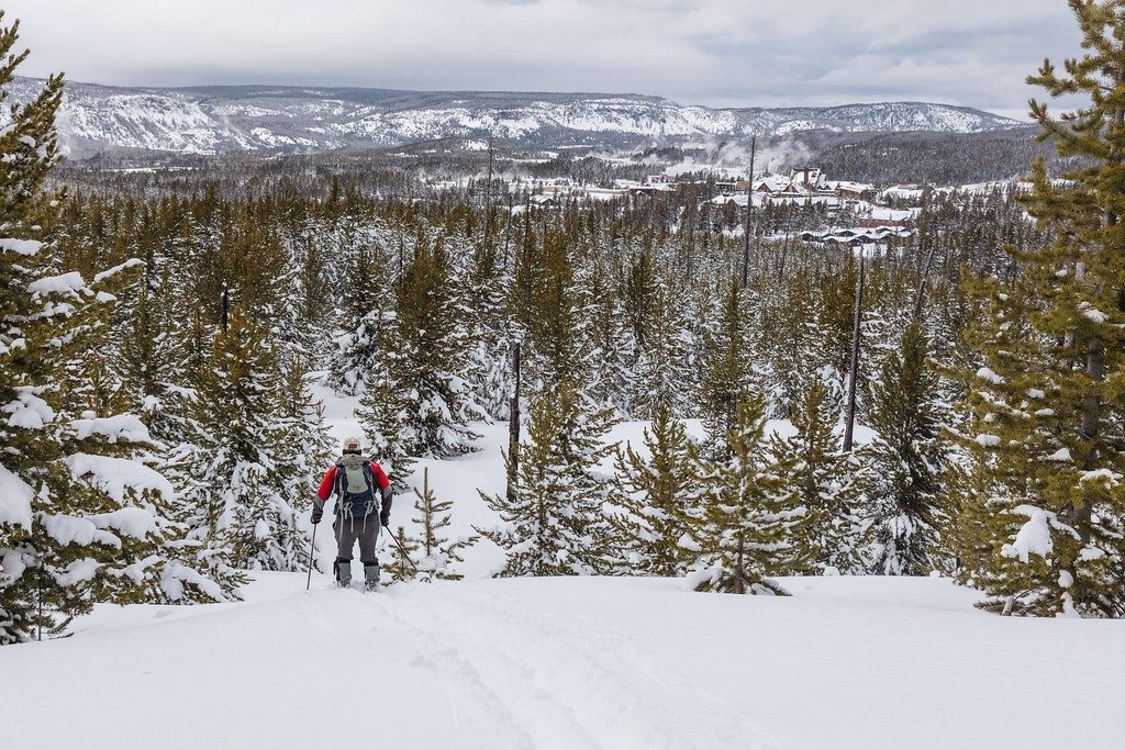 A cross-country skier descending a groomed trail through snowy evergreens
